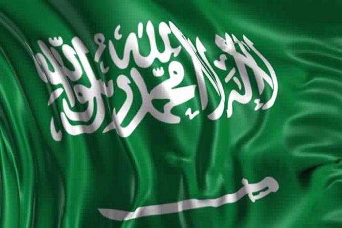 السعودية تتطلع لاستثمار 5 مليارات دولار في دوري الكريكيت الهندي