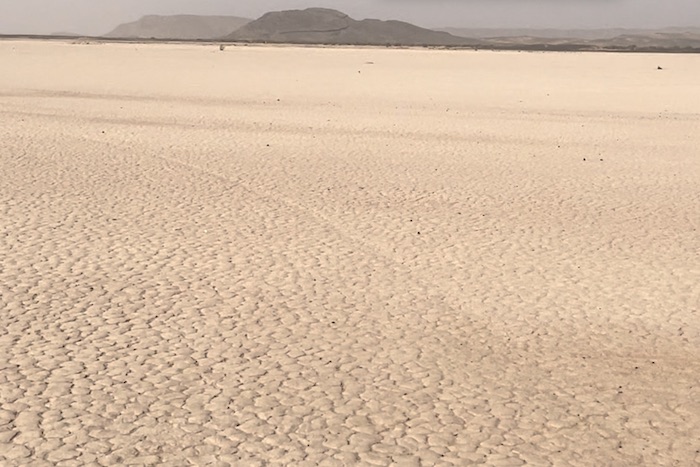 الحفاظ على النظام البيئي  ومحاربة التصحر أولوية حكومية بالمغرب