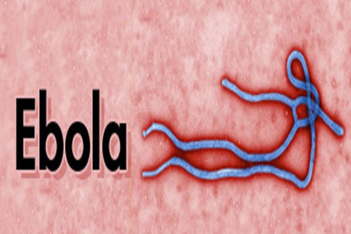 السيطرة على وباء إيبولا في بولابي بجنوب الكونغو الديمقراطية السيطرة على وباء إيبولا في بولابي بجنوب الكونغو الديمقراطية