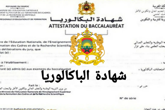 أكثر من 311 ألف ناجح في بكالوريا 2025 ونسبة النجاح تسجل تراجعا طفيفا أكثر من 311 ألف ناجح في بكالوريا 2025 ونسبة النجاح تسجل تراجعا طفيفا