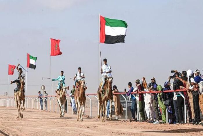 هيئة أبوظبي للتراث تشارك في فعاليات موسم طانطان الثقافي